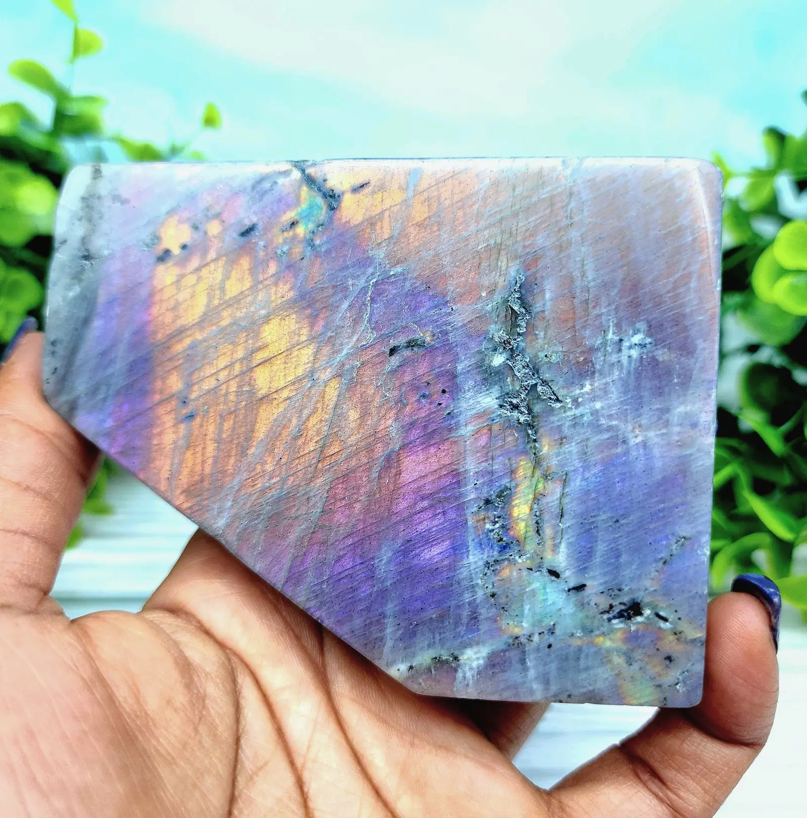 Purple Labradorite Freeforms
