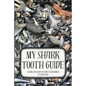 My Shark Tooth Guide: A Shark Tooth Guide for Today’s Beachcomber (Shark Tooth Identification) Paperback – August 24, 2024