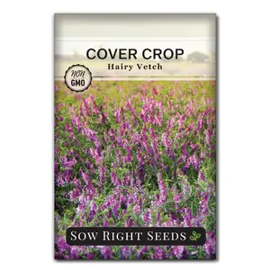 Hairy Vetch Cover Crop