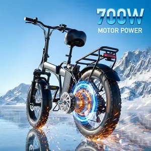 20-inch adult double-seat folding electric bicycle, equipped with a 700W high-speed motor, with a maximum speed of 20 miles per hour.