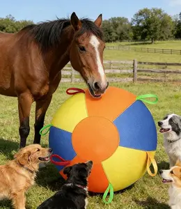 Herding Ball for Dogs, 22in Dog Training Ball with Handle for Outdoor Play, Durable Training Toy Ball for Australian Shepherd, Border Collie, Cattle Dog, Large Breed, Ideal for Herding Dog Exercise#Summervibes