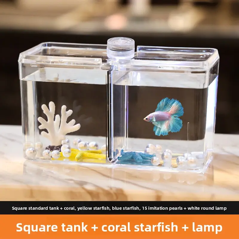 Standard tank + coral and sea star set + light