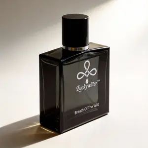 Men's Eau de Parfum 50ml – Aromatic Fougere with Bergamot, Elemi, Citrus, Geranium, Lavender & Vetiver – Long Lasting – Perfect for Spring Daily, Office, Romantic Date, Summer Party – Birthday Gift for Him, Christmas Gift for Boyfriend, Father's Day Gift
