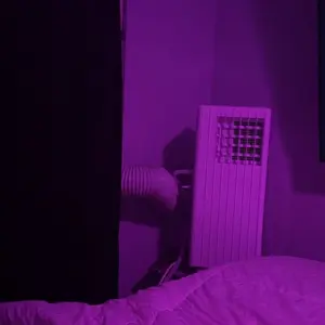 review image 4