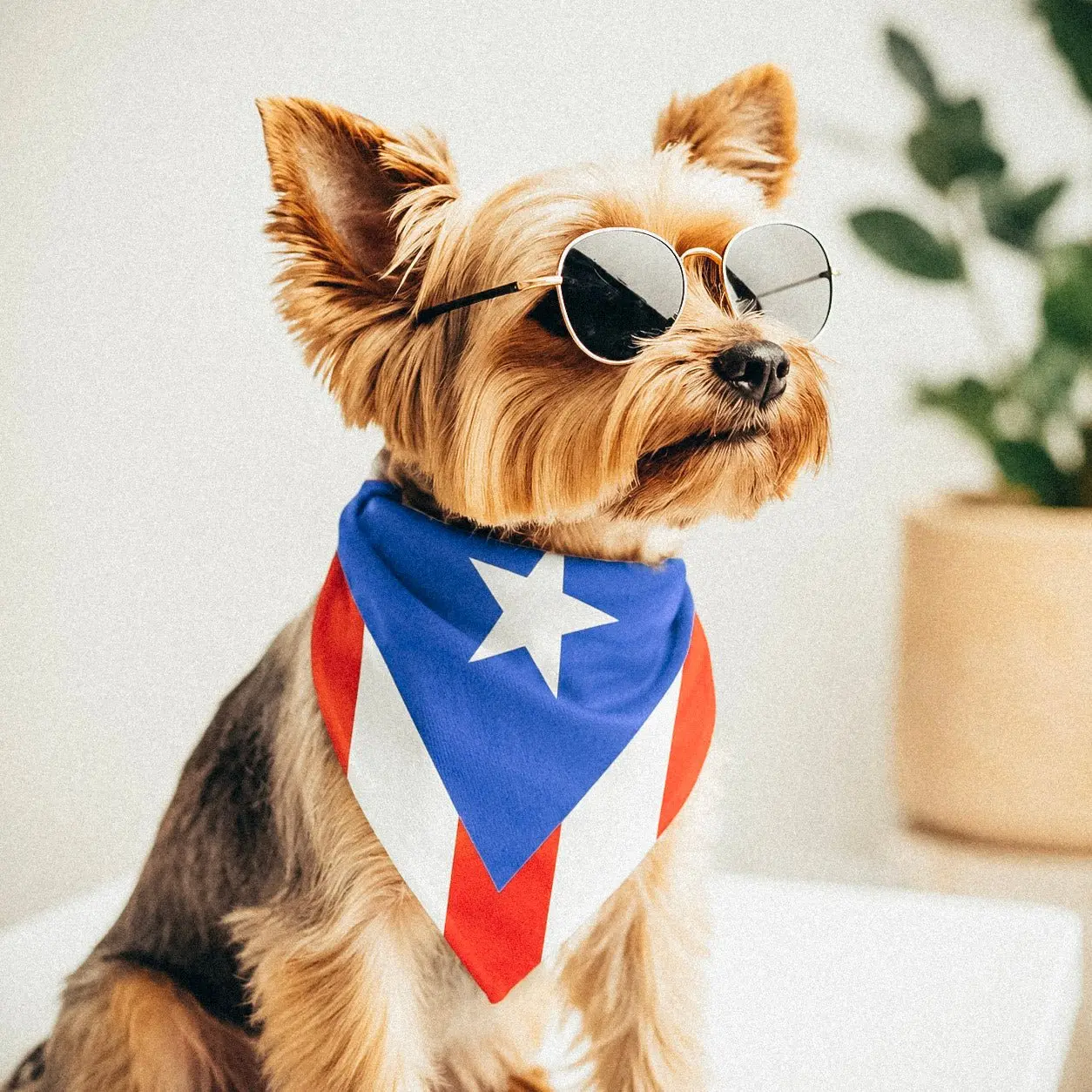 Puerto Rican-American flag bandana Puerto Rican-American flag bandana