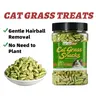 Natural Cat Grass Chew Treats - 13.4oz Salmon Flavor, Catnip-Infused Chicken Biscuits for 12 Months+ Cats, Dental Care & Gentle Hairball Removal Training Snacks