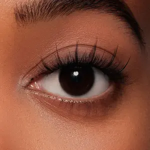 WOSADO NO.14 Frost Black X Bearisbug – Upgraded All-in-One Box