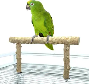 Bird Perch Stand, Bird Cage Top Perch Gym,  Parrot Branch for Small Medium Large Parrot (M)