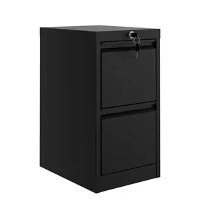 Garvee Moderno 2-Drawer Cold Rolled Steel File Cabinet with Keys, 0.6mm Thick, Dimensions H73 x W38 x D45 cm, Durable and Secure Storage Solution for Office or Home