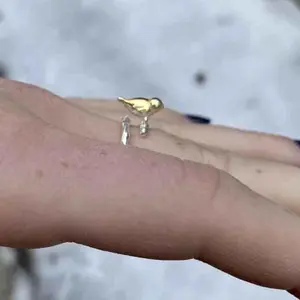 Adorable Finch Ring – Lightweight Adjustable Ring for Joy, Balance & Nature-Loving Souls