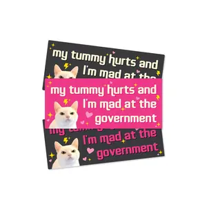 My Tummy Hurts and I'm Mad at the Government Funny 7" Bumper Sticker or Magnet