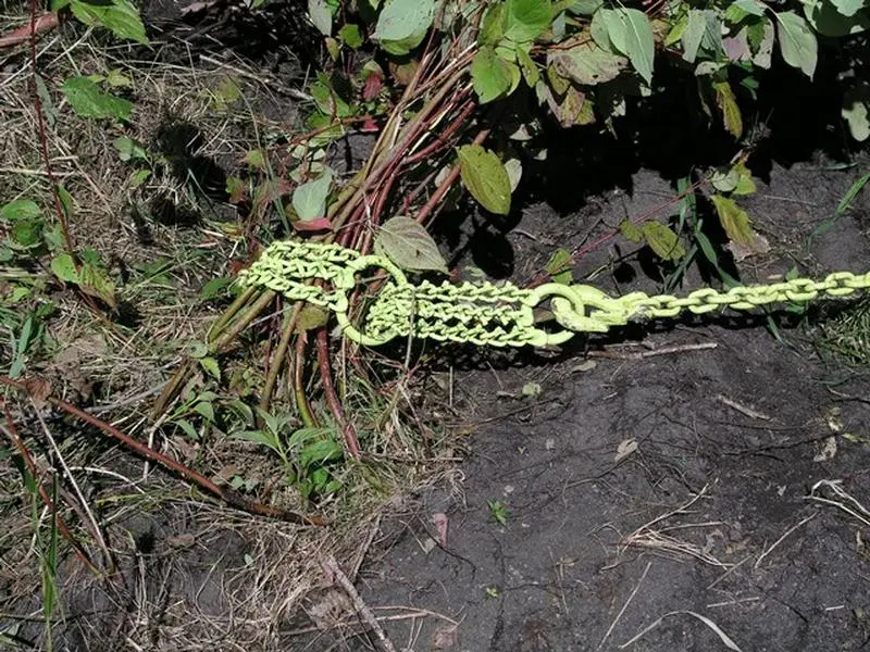 Industrial Brush Grubber BG-16 Shrub & Clump Grubber - 4ft No-Slip Grip Links, Loop System as Choker, Pulls Small Shrubs for Skid Loaders, Small Tractors, Home Supplies & Home Care Tasks
