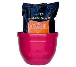 Roberta's 15" Diameter Lightweight Party Planter