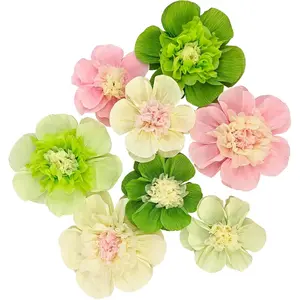 Crepe Paper Flower for Wall Psprt Pom Pom Decor Girls Birthday Party Backdrop Baby Shower Nursery Room Decoration Pack of 9 (Pink Green)