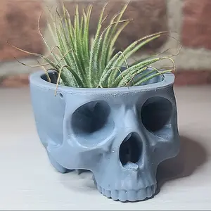 hanging airplant skull planter