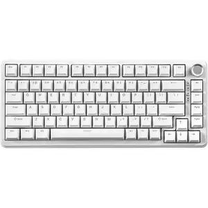 B75 Mechanical Keyboard,75% Layout with Knob,Hot Swappable RGB Backlit Gasket Mounted, Creamy Typing, Double-Shot PBT Keycaps,Cherry Profile,for Win/ (White, Blue Grey Tactile )