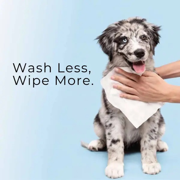 DOG Wipes - Plant Based, 100% Compostable, Vegan Friendly