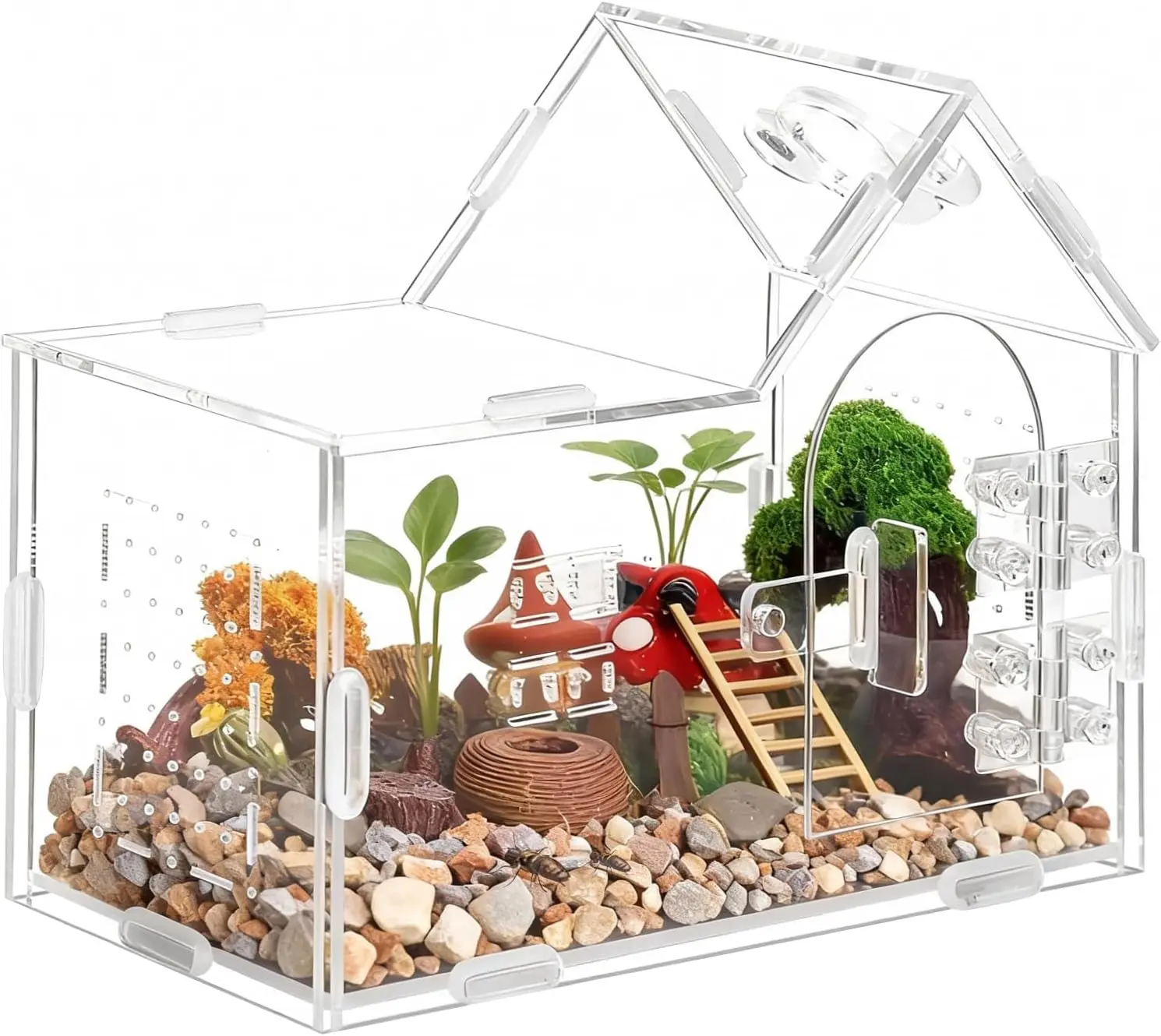 Spider Enclosure Small Acrylic Spider Cage Insect Terrarium Bug Enclosure Tarantula Enclosure Reptile Terrarium for Snail, Mantis, Lizard, and Small Reptiles - Big House Shape