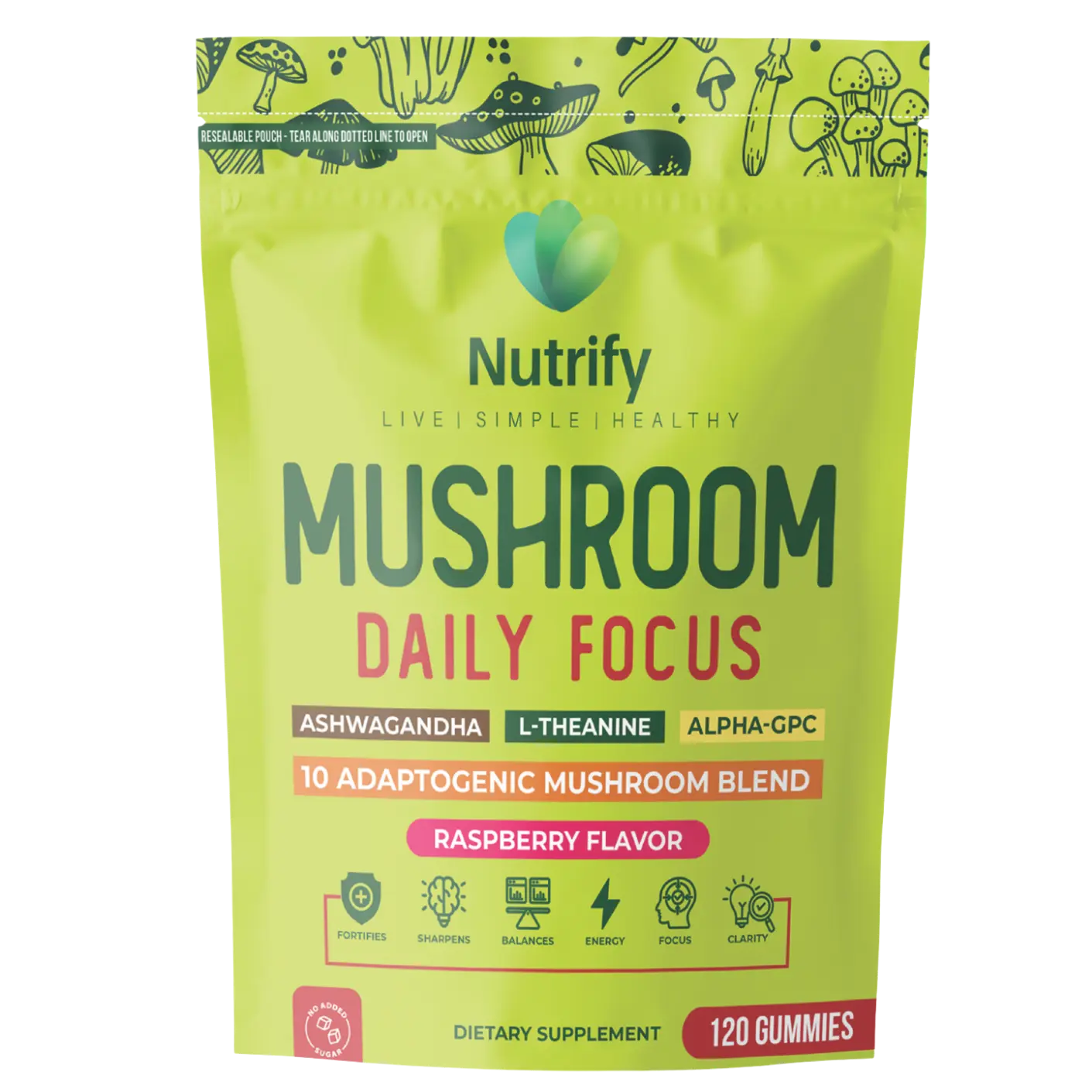 Mushroom Daily Focus Mushroom Daily Focus