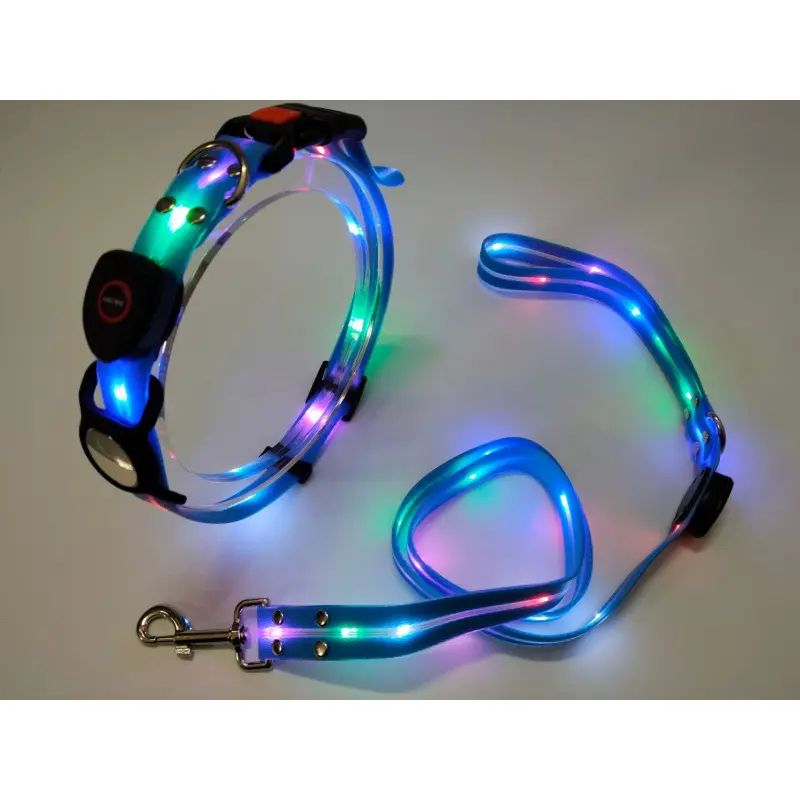 Blue collar + traction rope