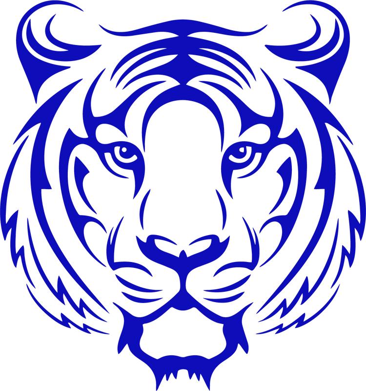 Durable Tiger Face Car Sticker for All Vehicle Models