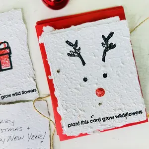 Set of 10 Plantable Christmas Cards with Envelopes - Recycled Seed Paper Greeting Cards - 2 Sided Handmade Cards for Holiday Gifts & Teacher Notes