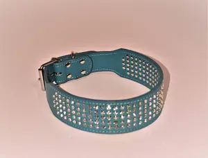 Teal Dog Collar