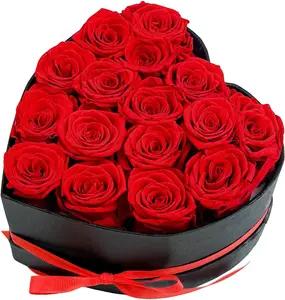 16-Rose Red Preserved Forever Roses in Heart-Shaped Box, Home Decor Room Decor Gift for Her (Mother's Day, Valentine's Day)