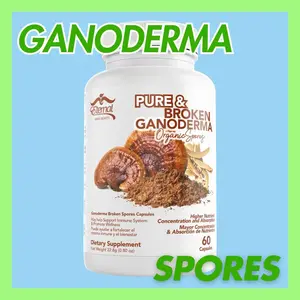 PURE & BROKEN GANODERMA ORGANIC SPORES ESB Healthcare Supplement Fitness Edible Dietary Natural Capsule Vitamin Bathroom