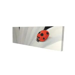 212 MAIN White Daisy & Ladybug Botanical Blue Wall Artwork Photo Print - 16x48 in Nature-Infused Home Decor for Bedroom