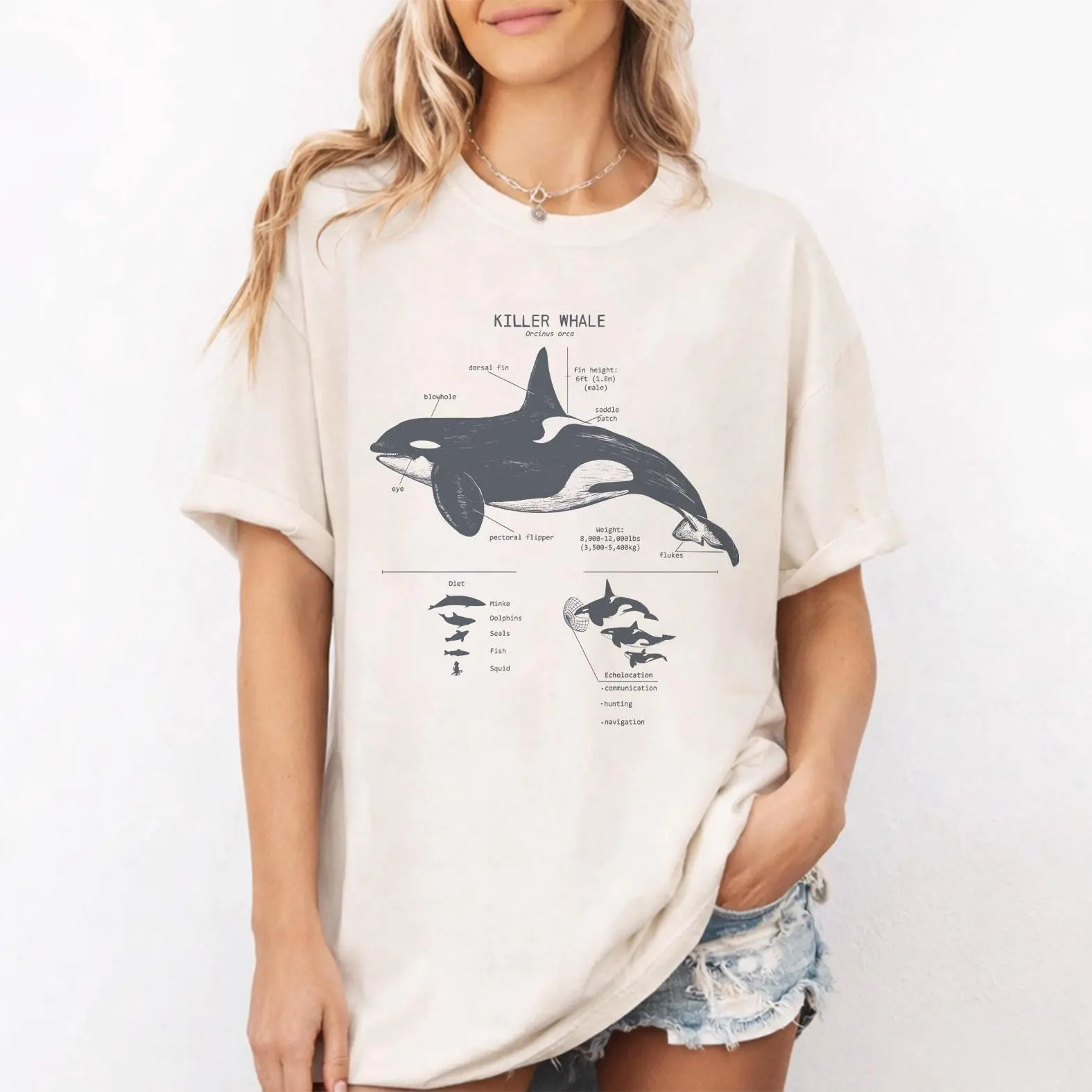 Comfort Colors Orca Shirt, Killer Whale Diagram Graphic Tee, Marine Life Shirt, Gift for Orca Lovers