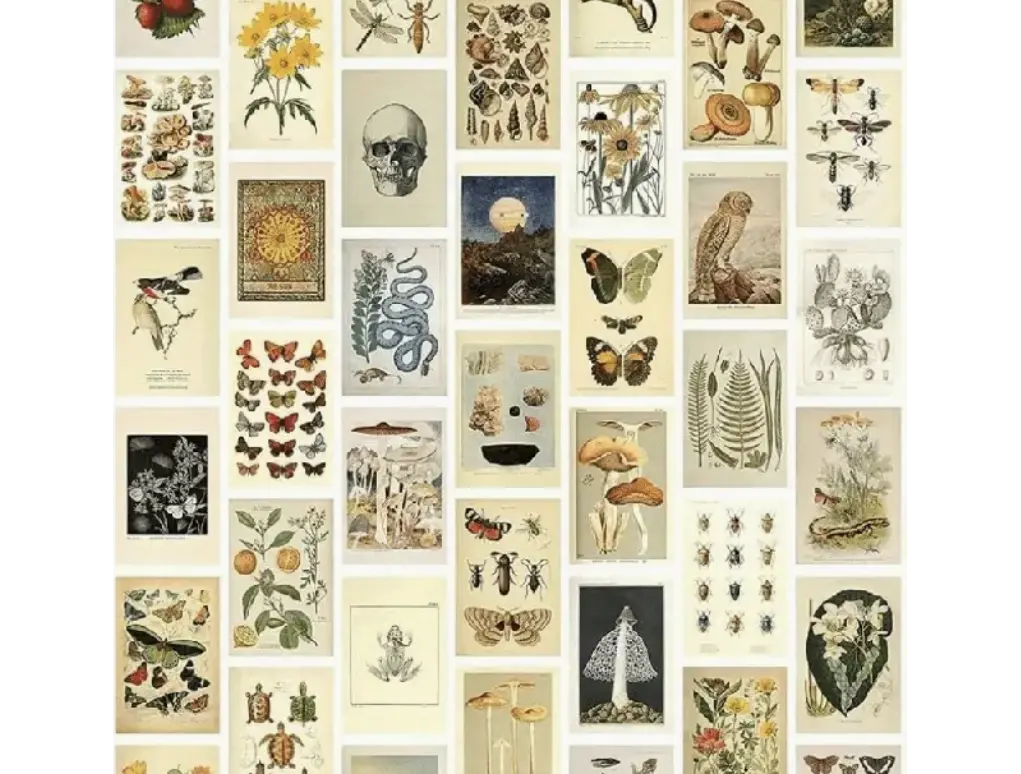 Vintage Postcard Prints  