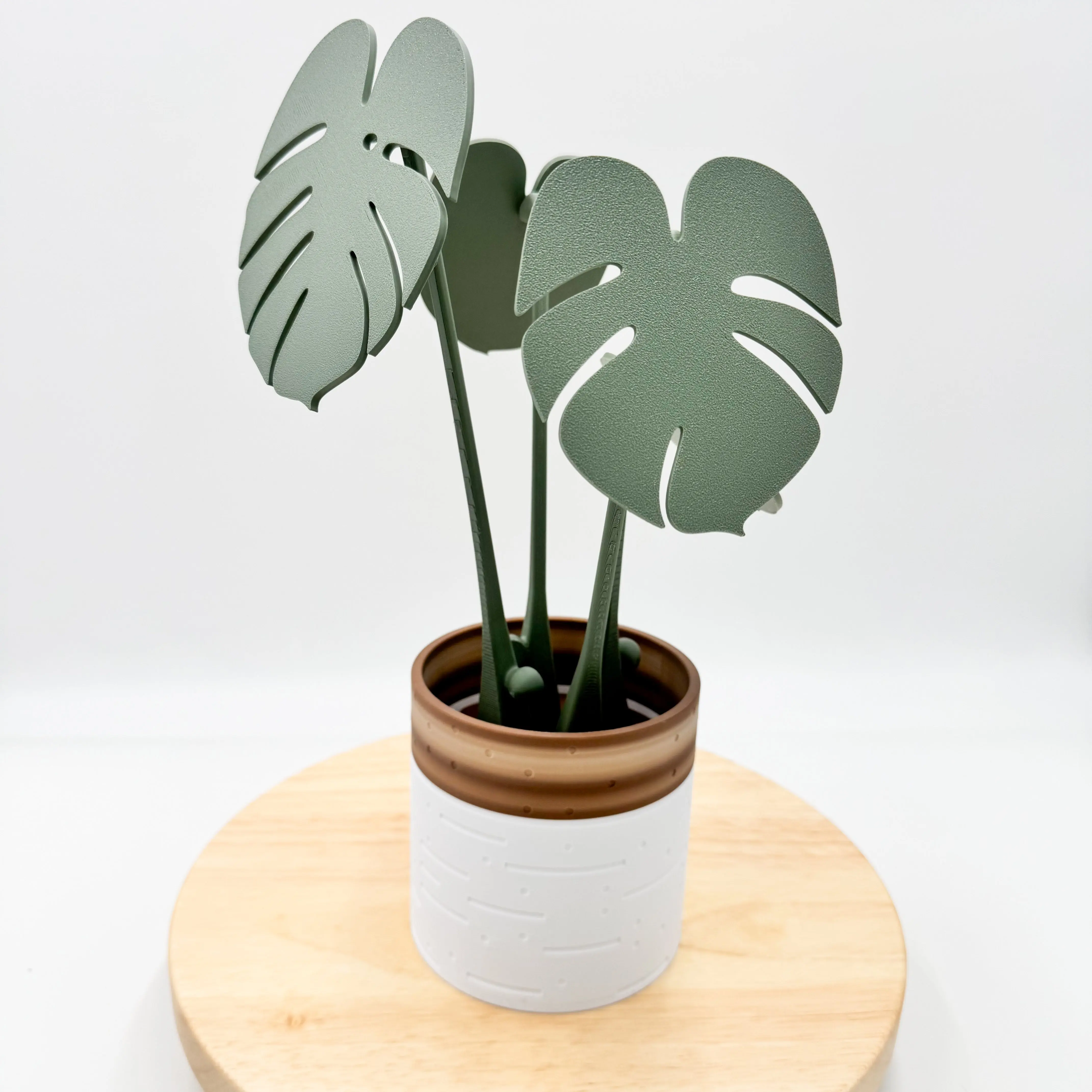 Monstera Coaster Plant - 3D Printed Magnetic Coaster Leaves