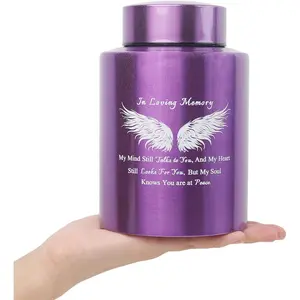 6 Inches Small Urn for Human Ashes Stainless Medium Urn Small Keepsake Urn for Ashes Memorial Urn with Angle Wing-My Mind Still Talks to You