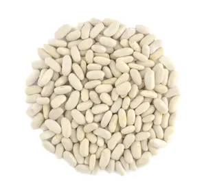 Organic Great Northern Beans ,Raw, non GMO, Vegan, Bulk