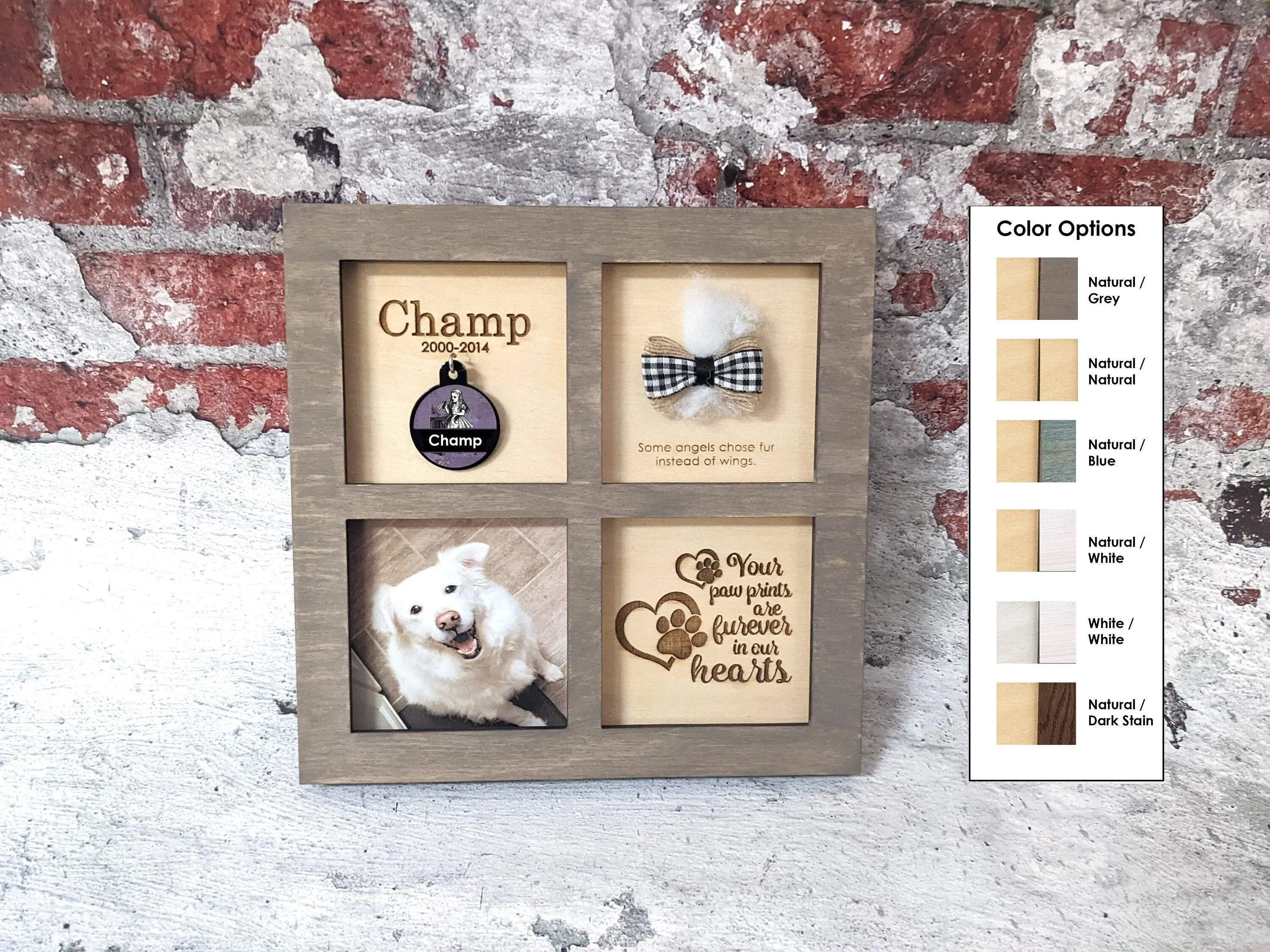Dog Memorial Shadow Box for Tag, Fur and Photo