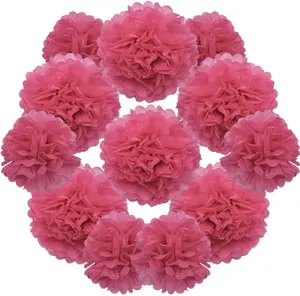12 Pcs Tissue Paper Pom Poms Flowers,10''12''Paper Flower Party Decorations for Wedding Birthday Baby Shower Baby Girl Room Nursery Decoration（Rose/Z