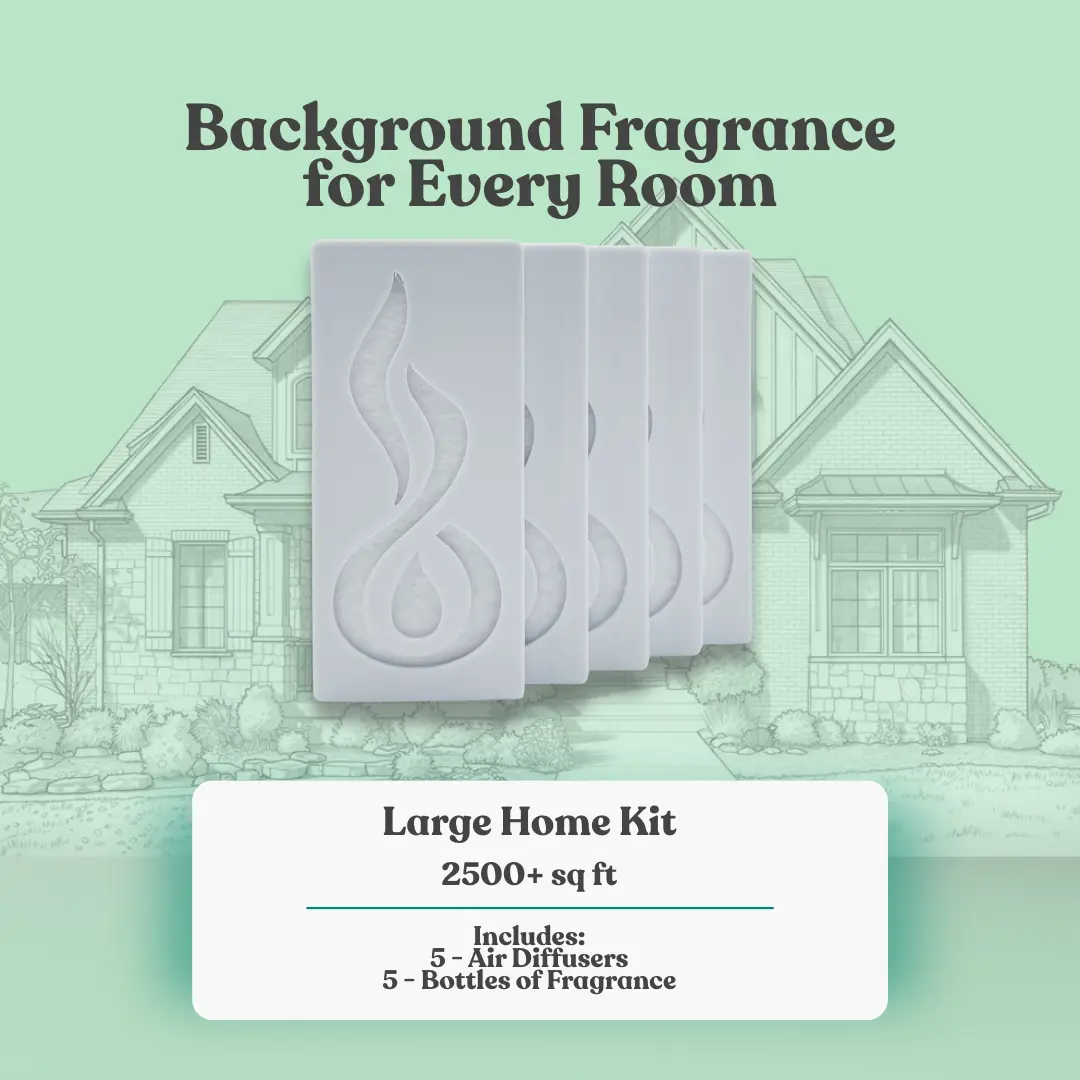 Scenta Filter Large Home Kit
