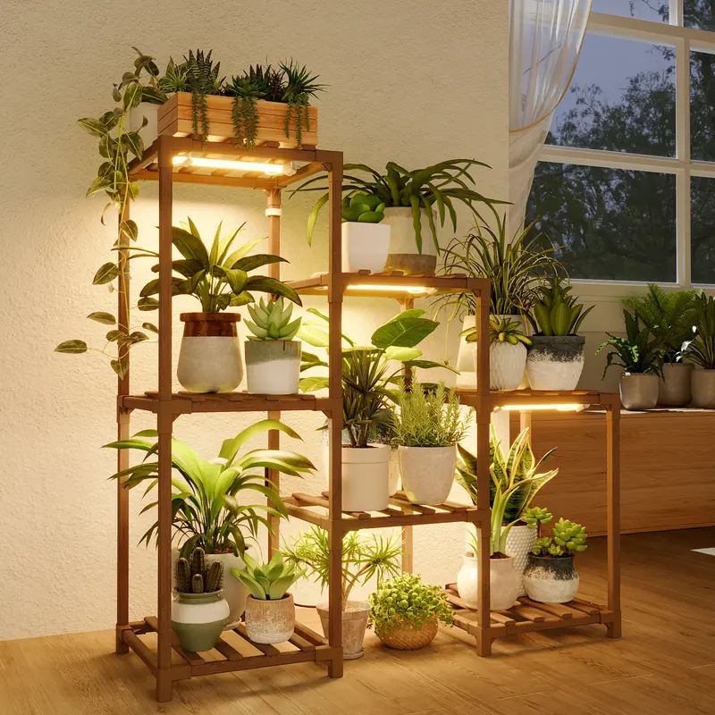 buy heartleaf philodendron Heart Leaf Philodendron 4in