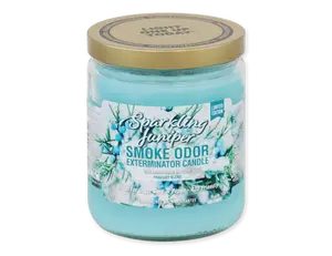 Smoke Odor Candle 13OZ - 13 Ounces Smoke Odor Candle for Indoor Use - Ideal for Removing Smoke Odors - Suitable for All Ages
