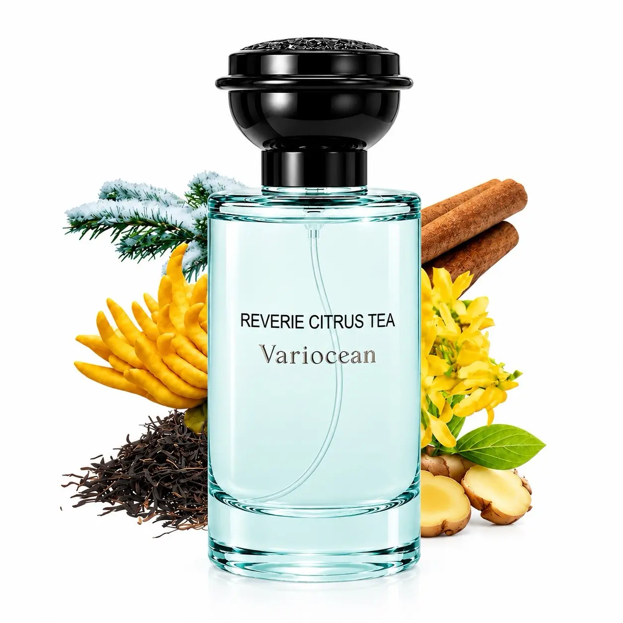 Variocean Long Lasting Men's Fragrance 50ml, Fresh Citrus Woody Perfume with Tea Notes, Luxury Eau de Parfum Scent for Men, Clean Everyday Cologne Gift