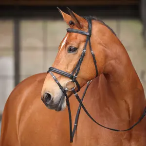 Shires Avignon Louisville Bridle - Premium Leather English Equestrian Horse Tack Black / Cob