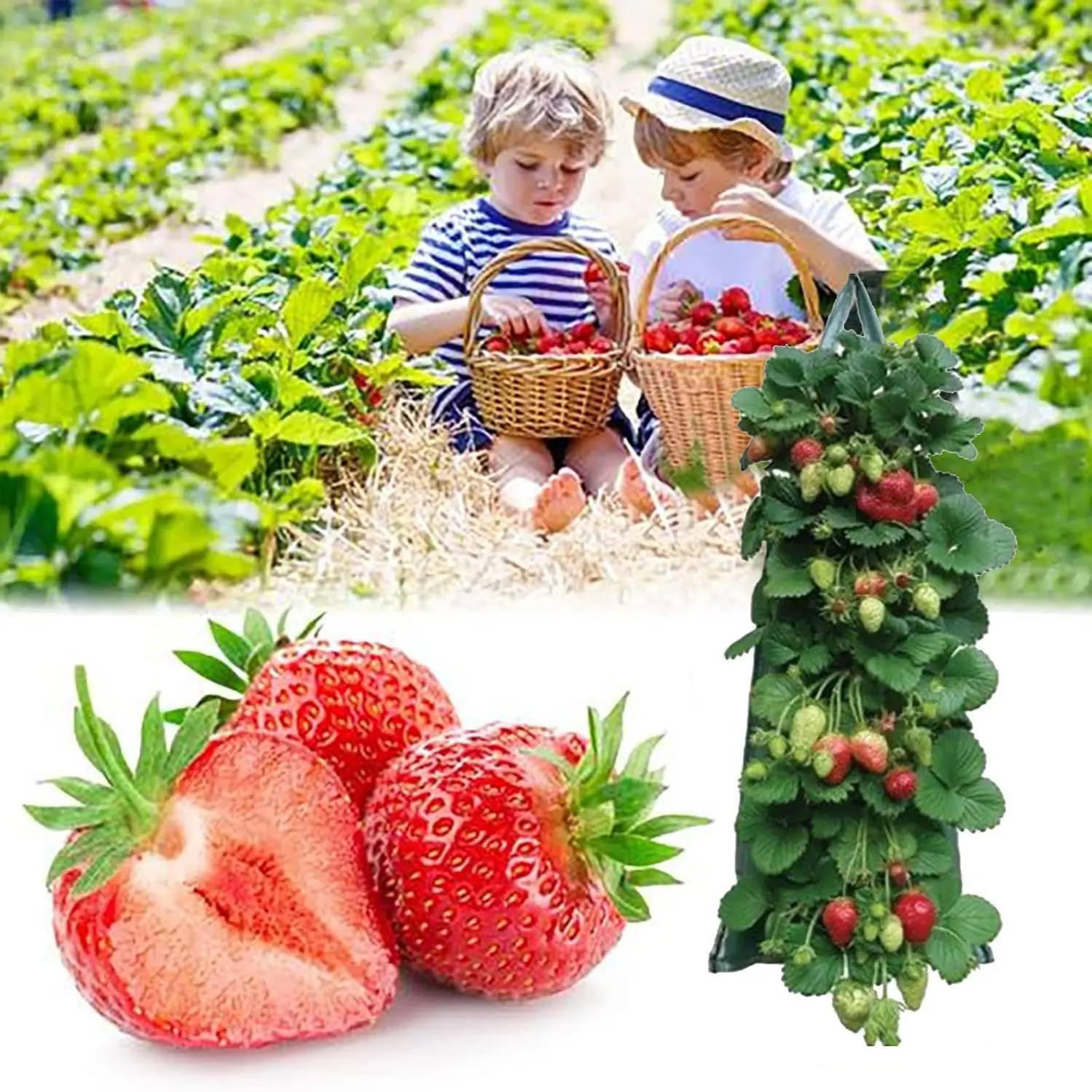 Vertical Gardening Strawberry Planting Bag, Hanging Multi-Pore Plant Growth Cultivation Bag, Space-Saving Vertical Garden Kit