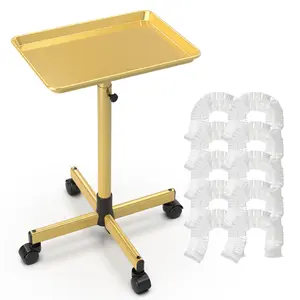 Easyinbeauty Salon Tray on Wheels, Hair Stylist Tray, Metal Tattoo Tray, Suitable for SPA and Dental Tray