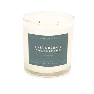 Evergreen + Eucalyptus 2-Wick Glass Tumbler Soy Candle TikTok
