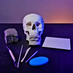 Beginner Sculpting Kit Metal Wood Plastic Clay Sponge