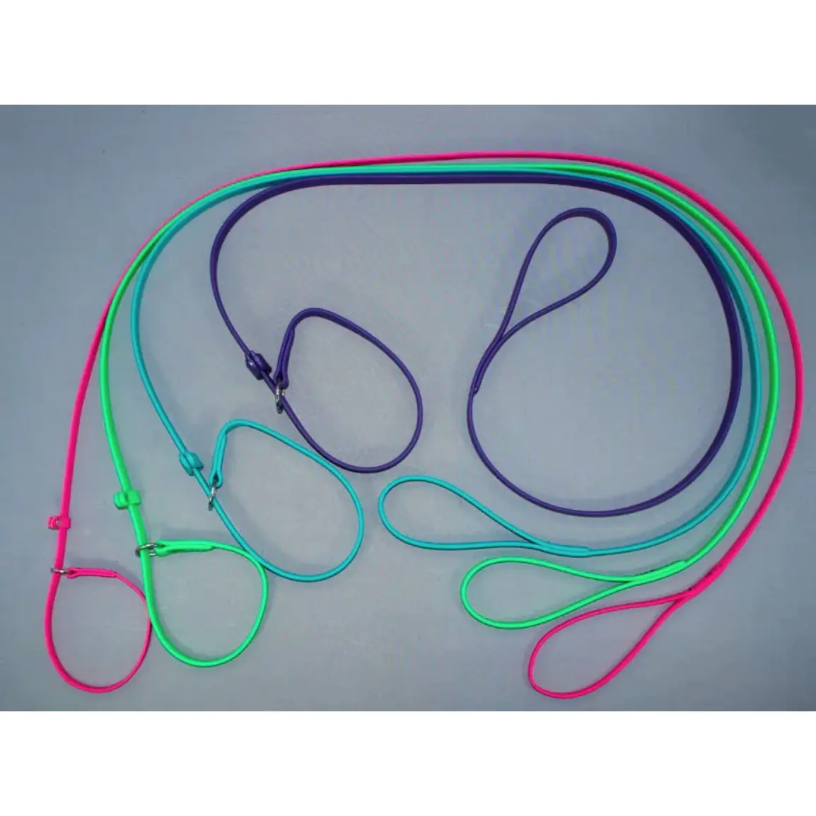 BioThane Slip Leash