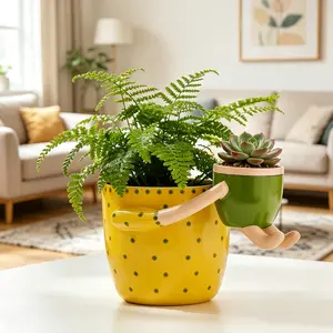 Double-spelled pot planters, retro indoor planters with drainage holes, Home decoration items whimsical decor