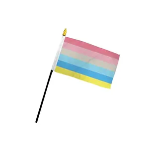 Genderflux 4x6in Stick Flag