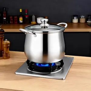 Large 22cm 866 Inch Stainless Steel Deep Soup Pot with Lid Heavy Duty Casserole Stew Pot for Induction Hob and Gas Camping Cooking Noodle Pasta Pan